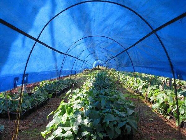 hdpe-woven-fabric-agriculture-application